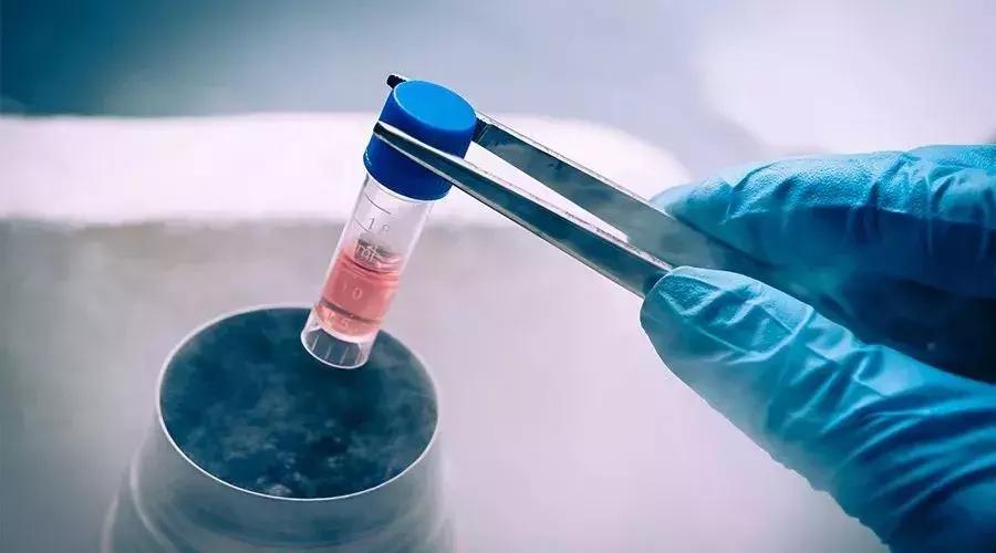 景甜倪妮同台2019年,景甜倪妮同台2019