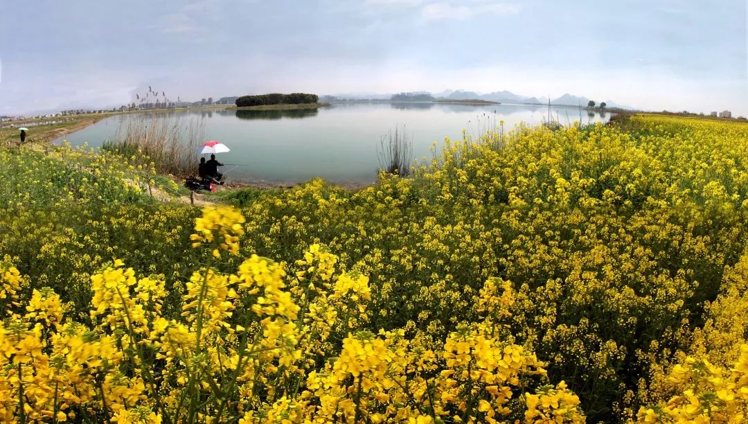 2021年度杭州市最美绿道,杭州最美绿道旅行