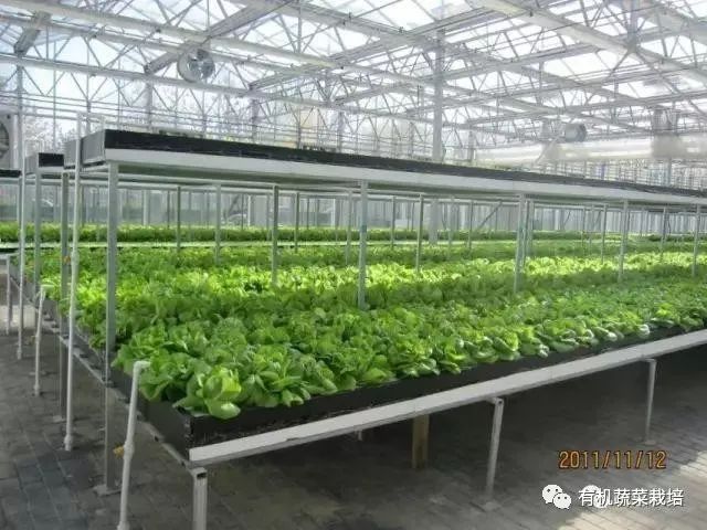 有机生态无土栽培原理与技术,无土栽培知识