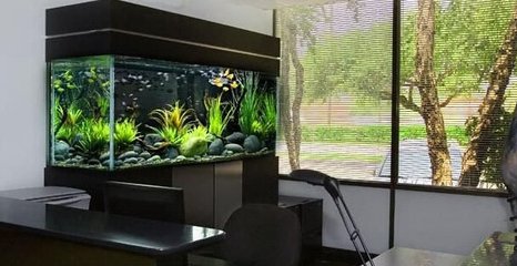 楸肩几鎽嗘斁鏂瑰悜椋庢按璁茬┒,瀹朵腑楸肩几椋庢按鍗佸ぇ绂佸繉