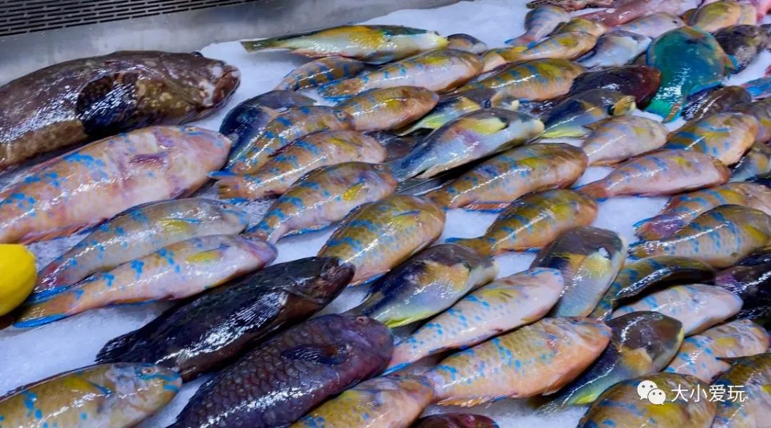 北京又新开了这么多好地方！网红超市、新奇乐园，超美童话小镇