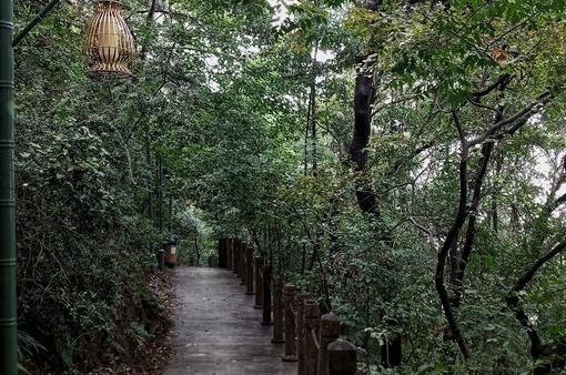 南京有哪些免费公园,南京象山湖公园免费攻略