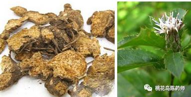 中药饮片独角牛别名,中药饮片大芸的别名