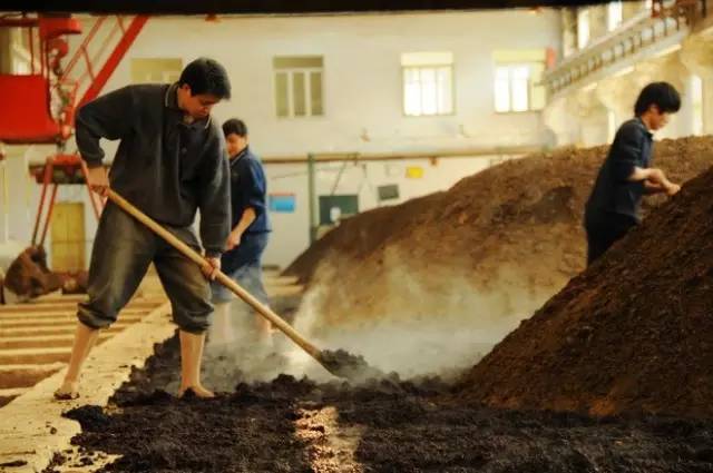 涨知识酒类,涨知识的深度解析