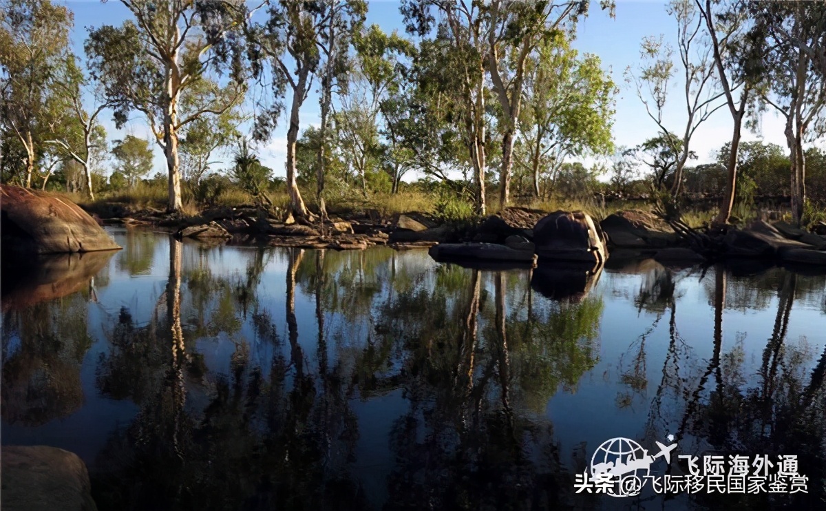 葡萄牙移民的优缺点,葡萄牙移民的优缺点分析图表