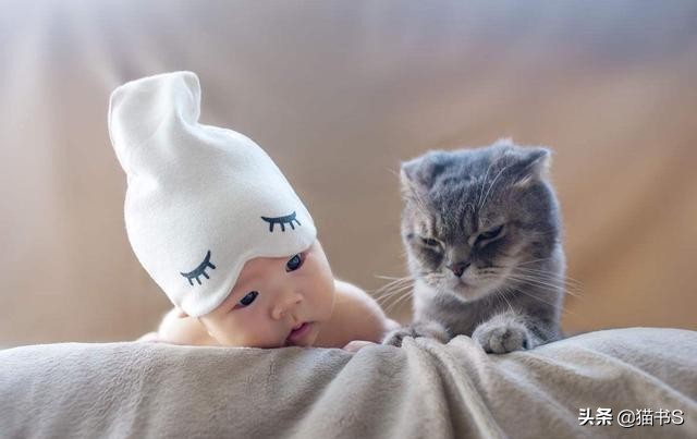 宠物为什么叫宝宝,宠物知道什么是死亡吗