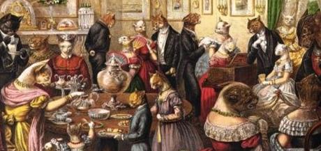 英短猫长大后是什么样的,英短猫的成长大小跟什么有关