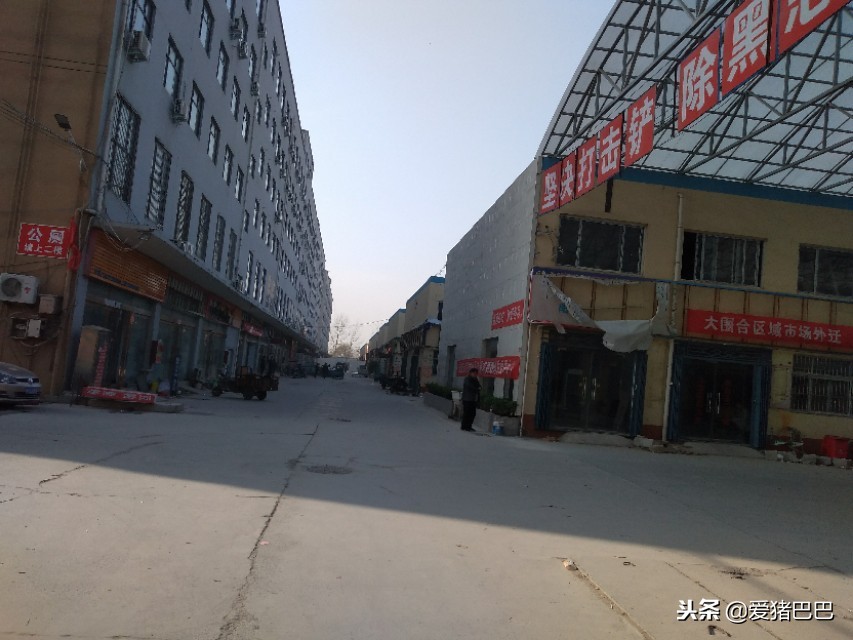 郑州市兽药批发市场哪个最大,全国最大兽药饲料批发市场