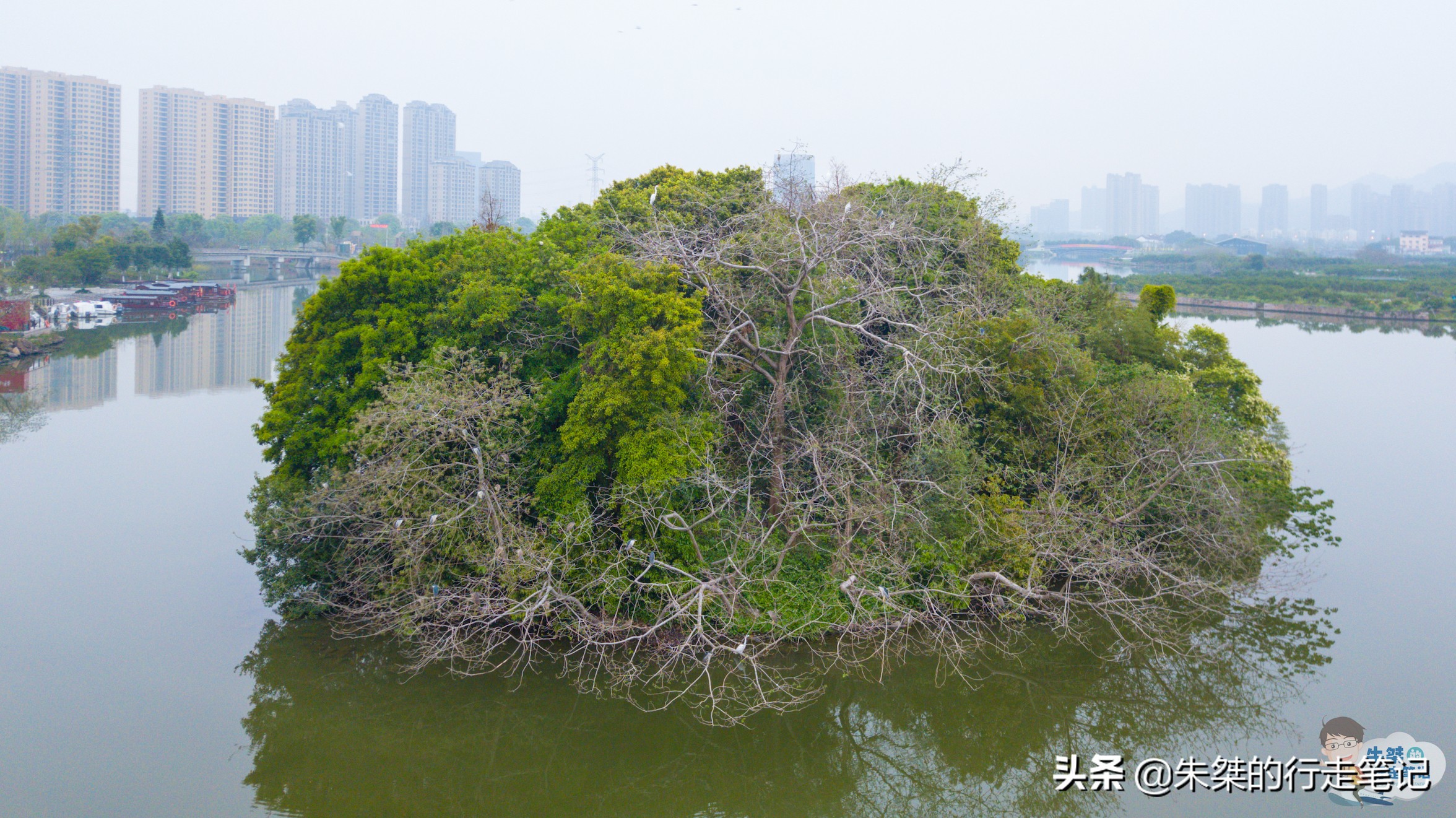 温州山上好看的风景,温州雁荡山风景实拍