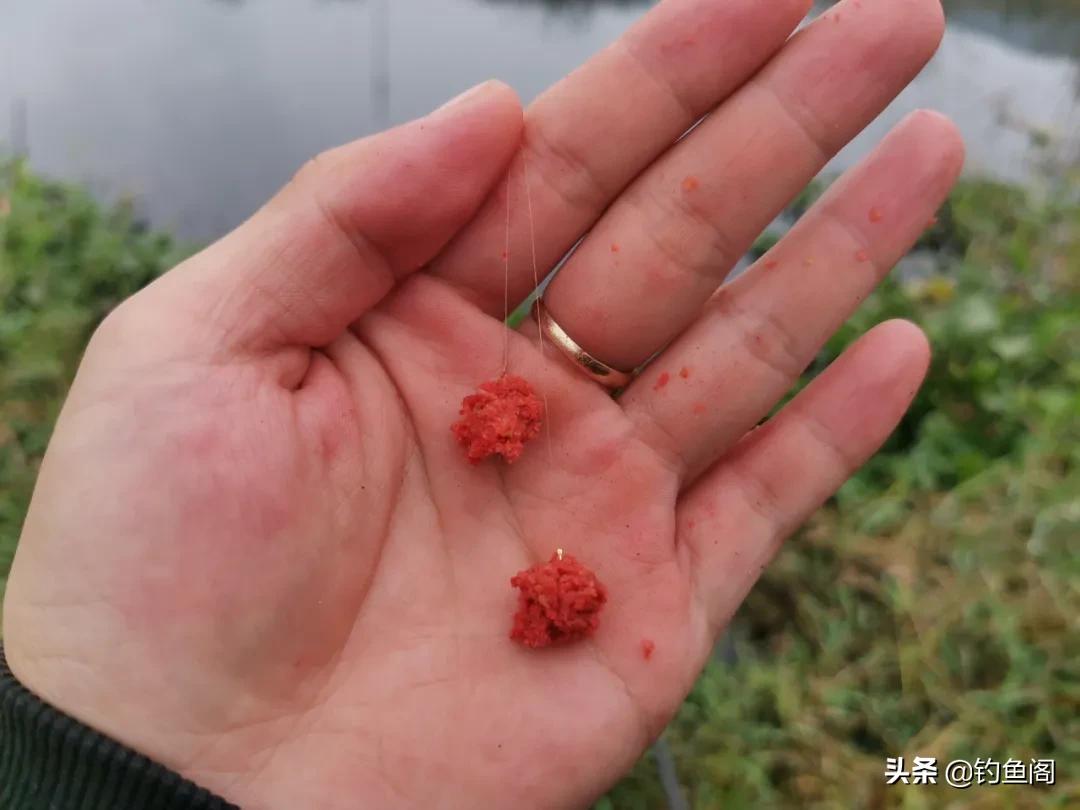 鱼不吃东西怎么办啊,夏季窝料打多了鱼不吃饵怎么办