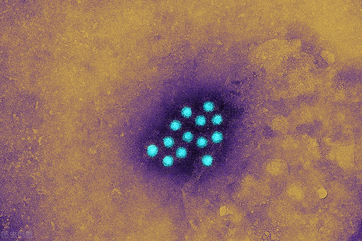 肝病并不是不治之症，可治愈的丙肝，你了解吗？