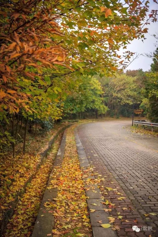 何必去远方原唱视频,何必去远方京都在左常熟在右