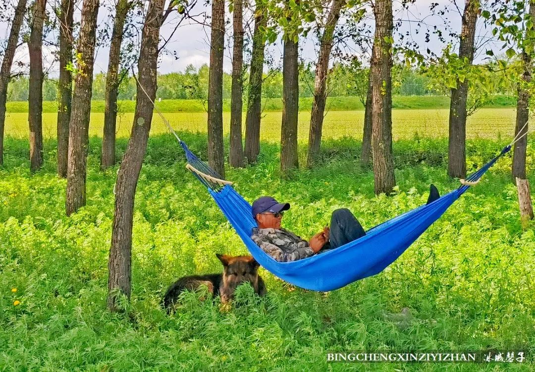 黑河加油北安平安,黑河加油万众一心抗击疫情