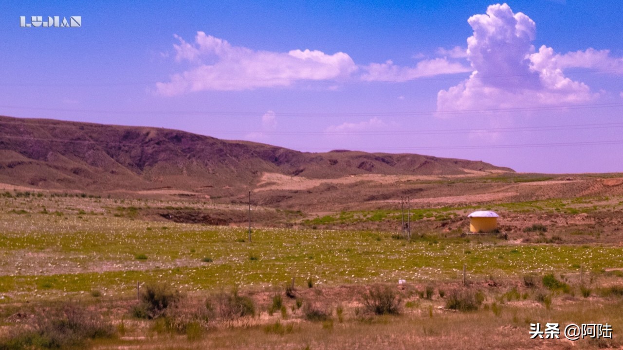 宁夏中卫硒砂瓜长在戈壁滩,吴忠市硒砂瓜也禁止种植吗