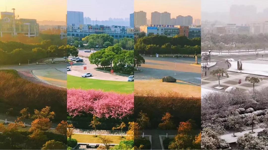 中国*产党共**创办的第一所高等学府，以城市名字命名，孙中山、毛*东泽**直接关怀！