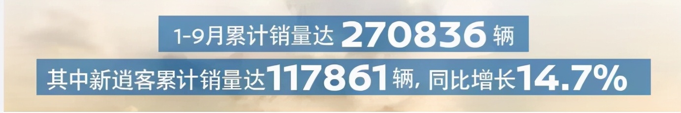 比亚迪乘用车11月销量,乘联会比亚迪1-12月销量明细