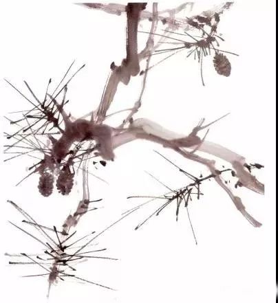 图文教程松树画法步骤解析,图文教程松树画法