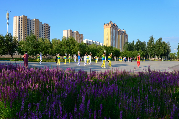 五块“国字号”招牌科尔沁璀璨明珠——这里是通辽！