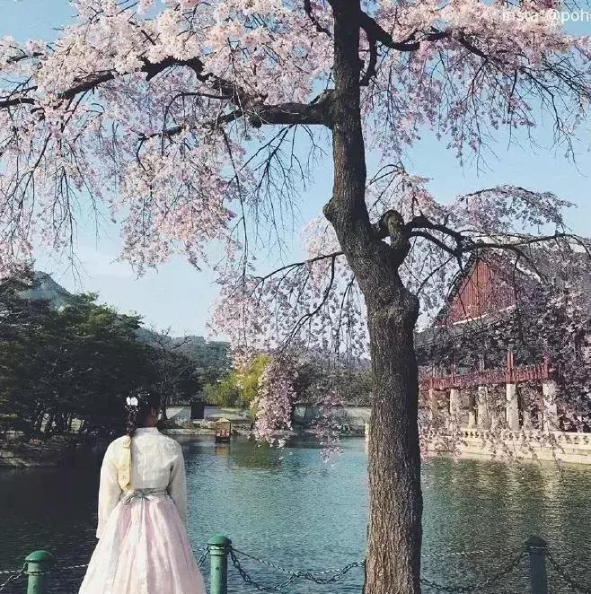 InKorea，你可曾_____?