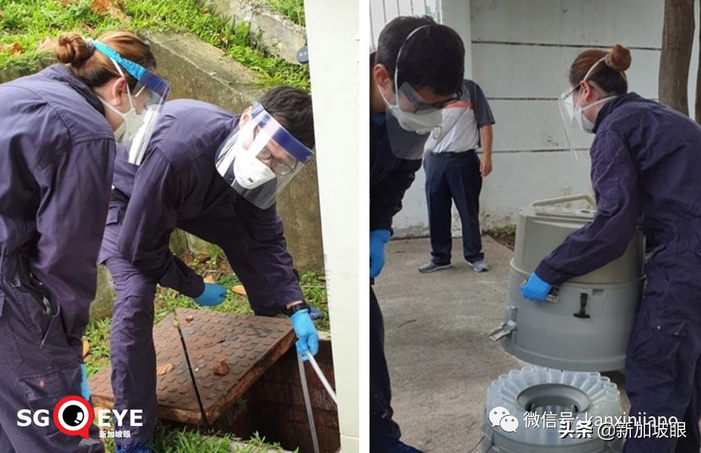 去新加坡需要打哪几种疫苗,去新加坡又要打疫苗了么