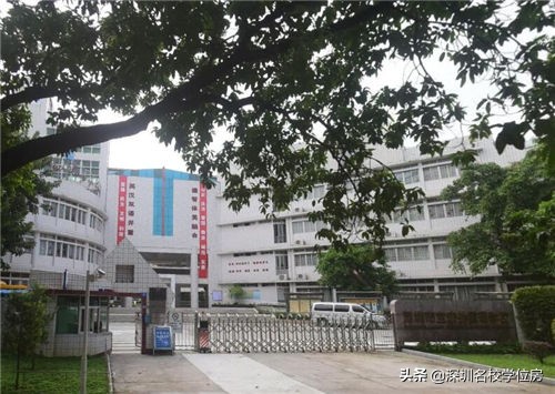 宝安小学排名一览表,弘雅小学在宝安的排名