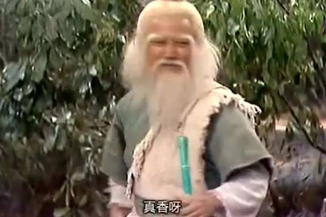 阿紫眼睛瞎了乔峰来救她,1997版天龙八部第24集阿紫眼瞎
