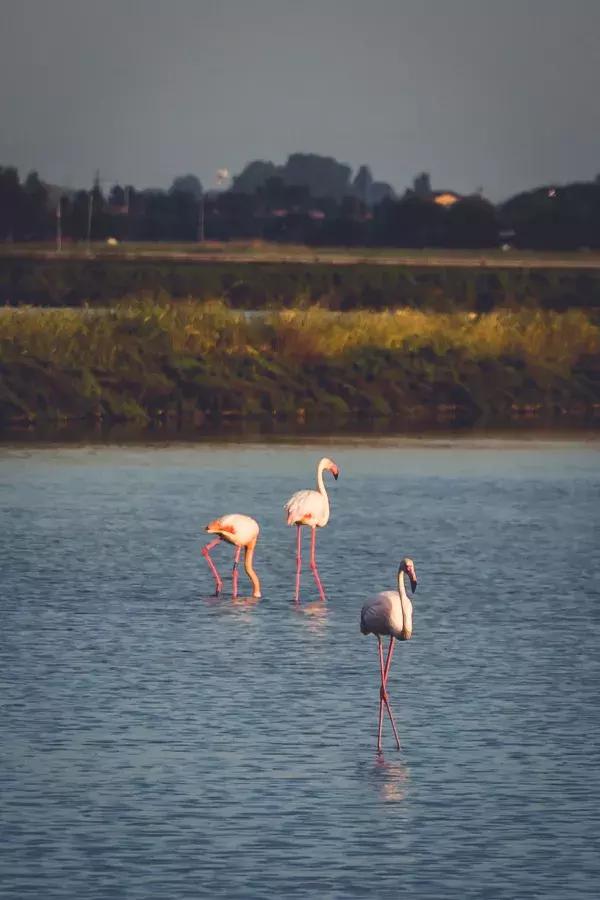克罗地亚十日自驾游详细攻略,克罗地亚10天自驾游
