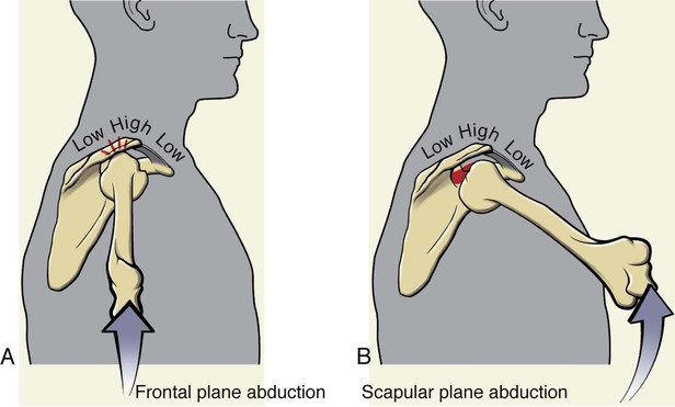 增肌训练指的是,增肌力量的基本知识