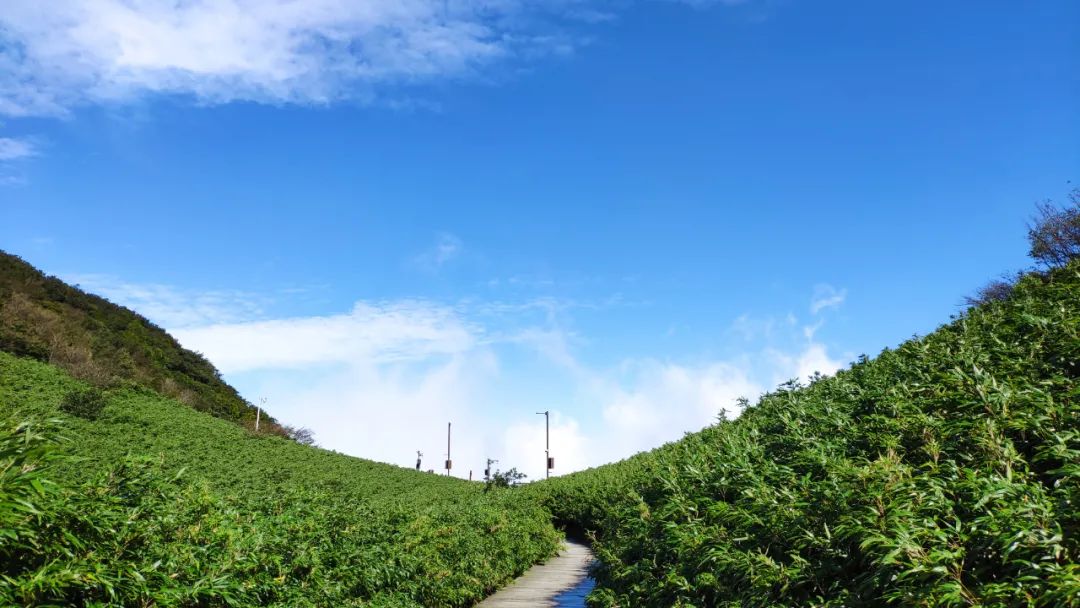 腾云驾雾观云海,腾云驾雾来到人间欣赏美景