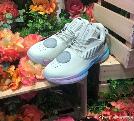 价值400万美元的韦德之道见过么?李宁,你真的变了!