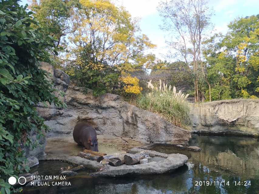 3月底日本关西8日游攻略,日本关西旅游攻略七日游