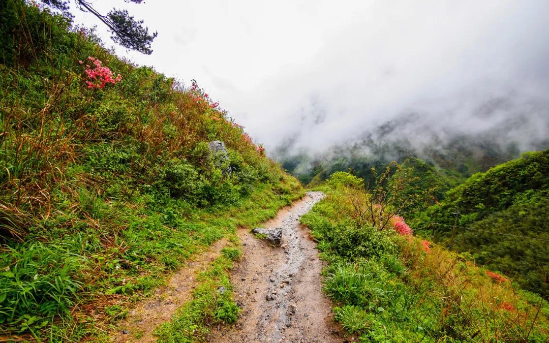 安徽春天美丽的视频,安徽美丽的春天