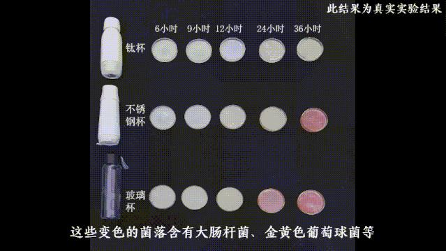 最好用的钛杯 (经济实惠的钛杯)