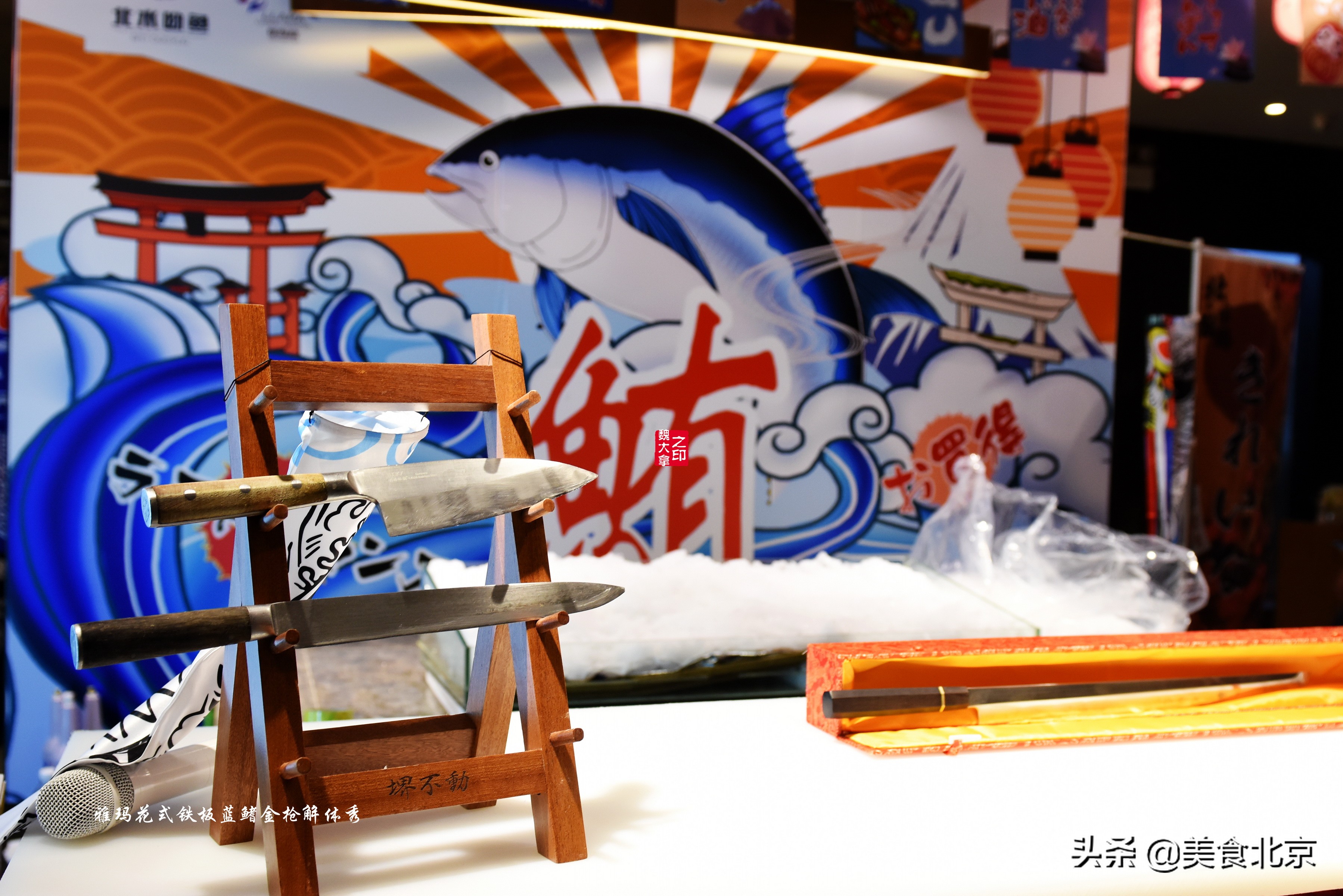 蓝鳍金枪鱼开鱼秀,深海捕蓝鳍金枪鱼