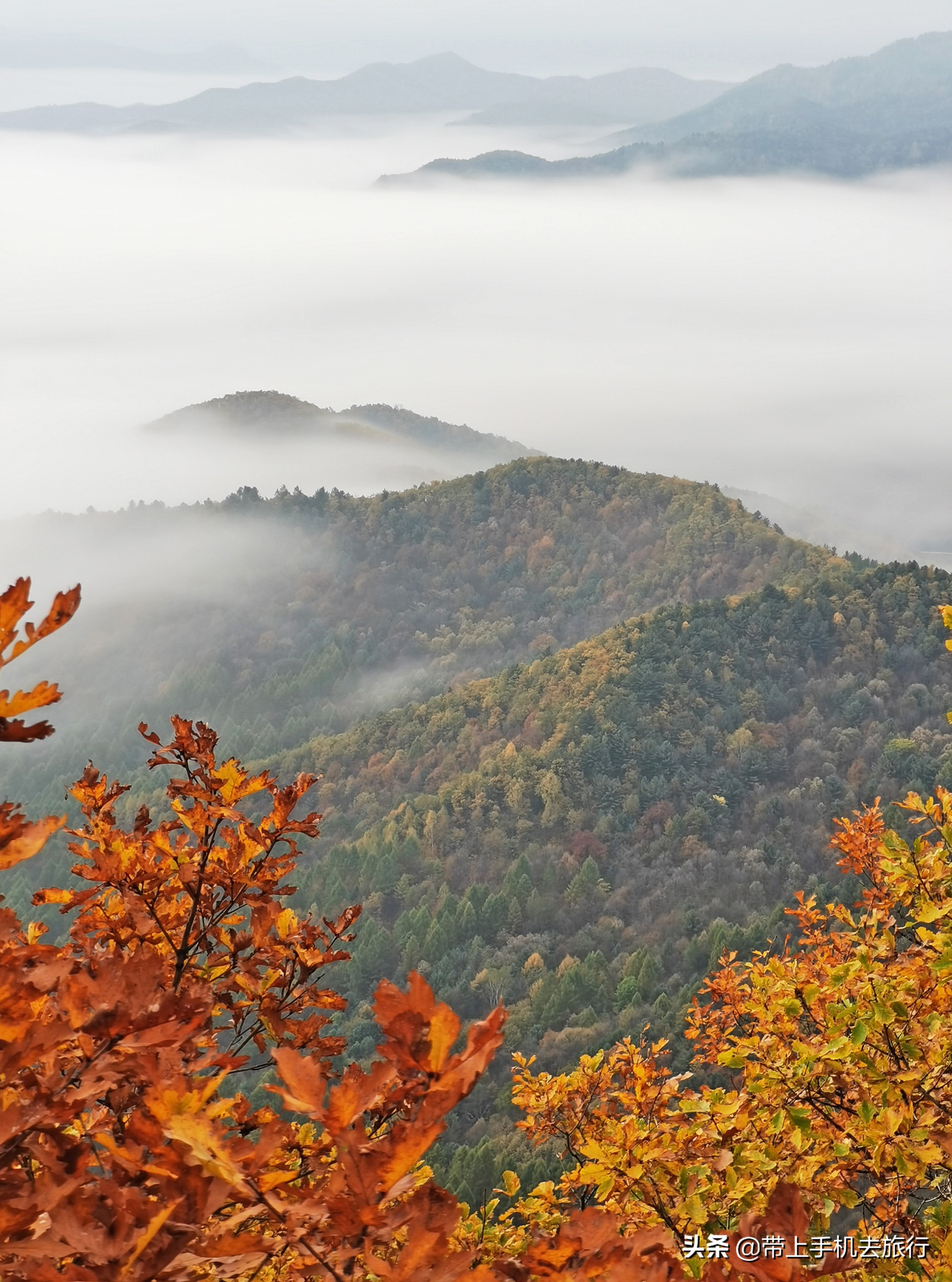 手机拍照是竖的好还是横的好,手机拍照横着和竖着的比例