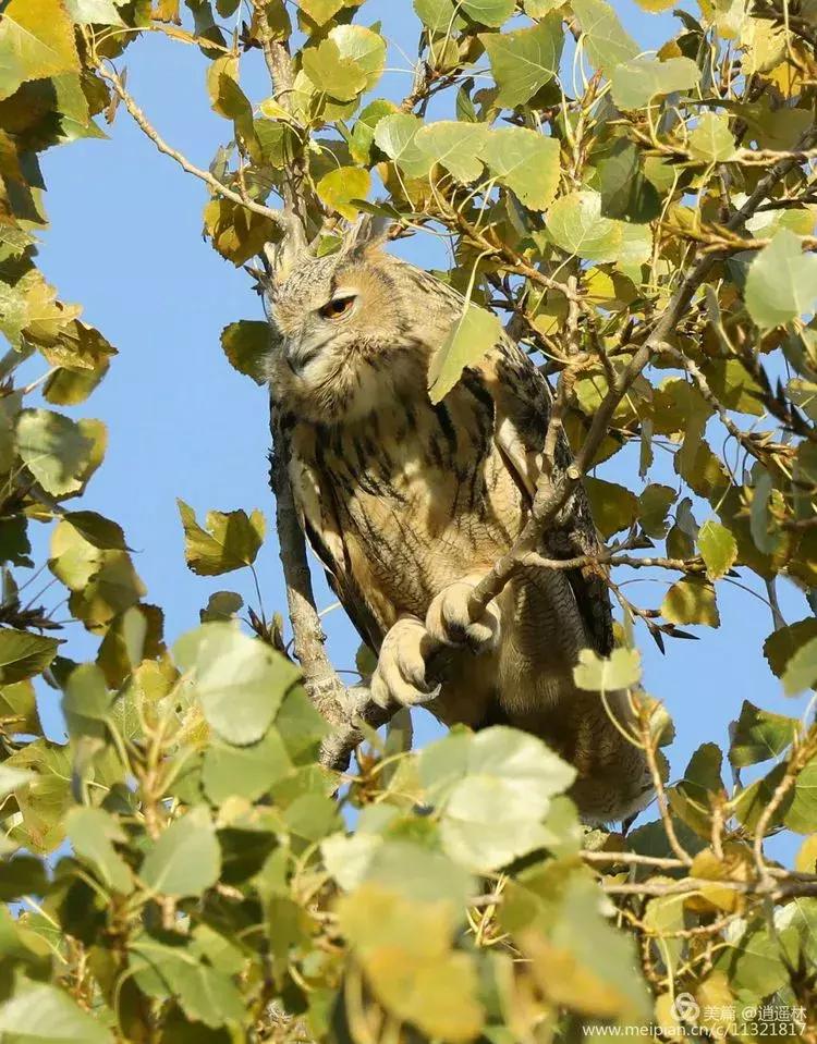 天坛最近发生什么事,北京天坛现在的状况