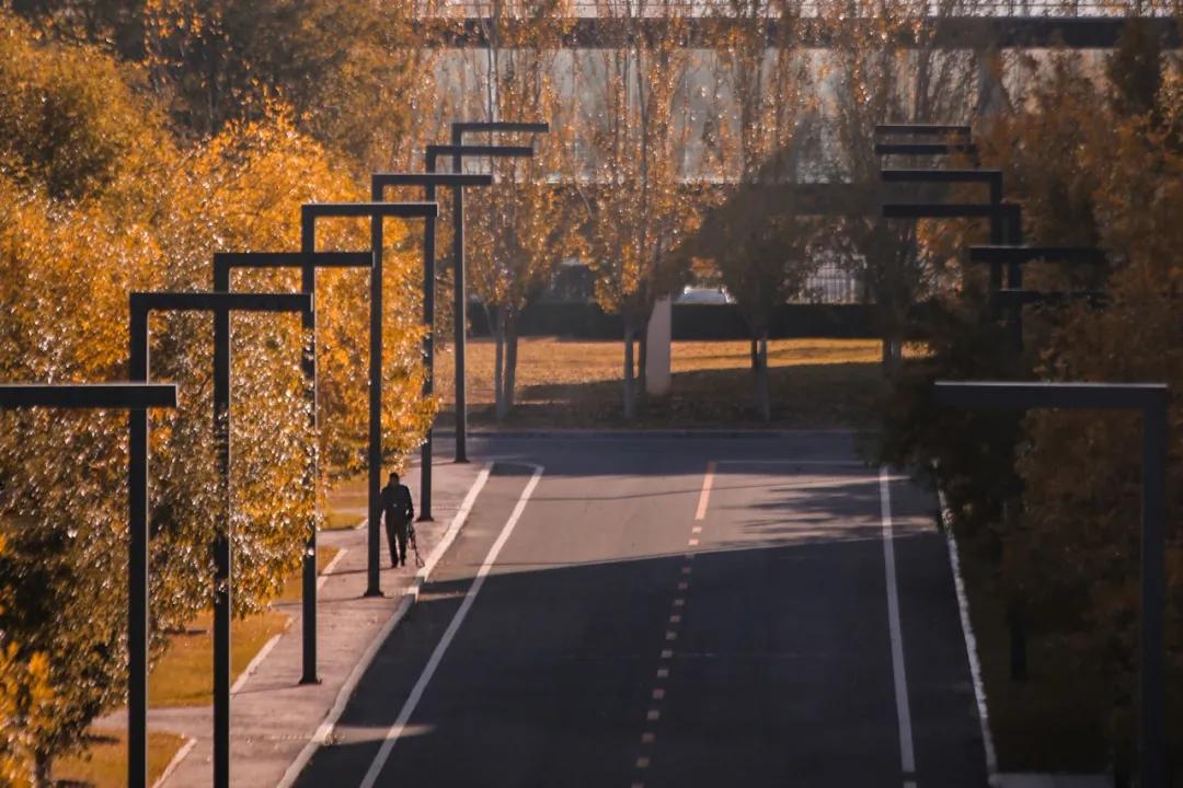 醉美大工秋|读书不觉已秋深，____________