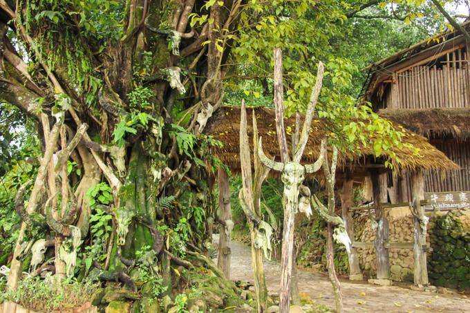 沧源原始部落图,沧源翁丁原始部落的历史讲解