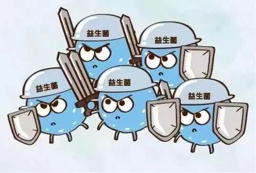 适合长期吃的益生菌有哪些,健康微生态益生菌有哪些