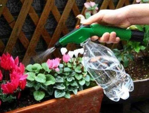 盆栽用什么土不烂根,盆栽土板结用什么水