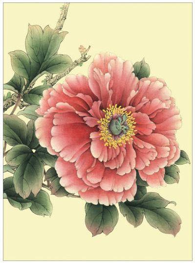 工笔牡丹勾线画法,工笔牡丹十二品设色步骤