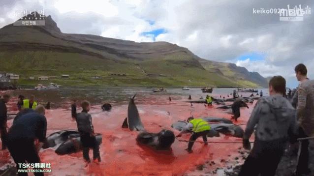 15岁怀孕，她被骗吃下*药炸**，一尸两命：有些人，这辈子不配为人