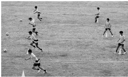 辽宁全运女足,全运女足联合队