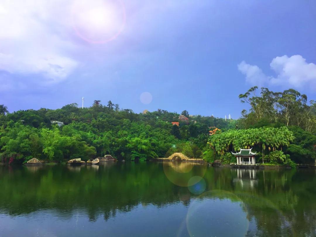 厦门海岸线咖啡网红打卡地地址,厦门观音山网红打卡地