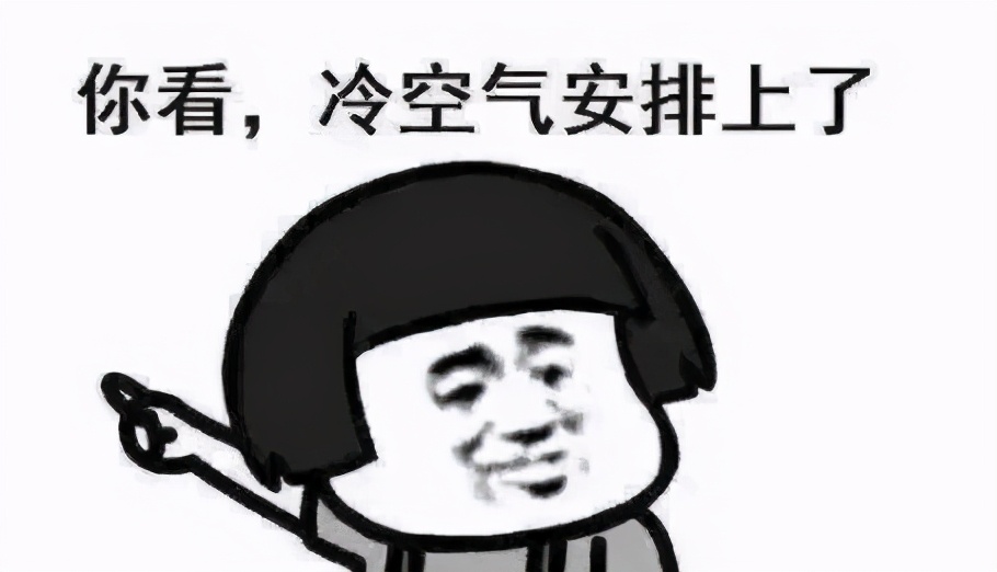 哪个牌子的羽绒服不坑,羽绒服和大鹅同档次