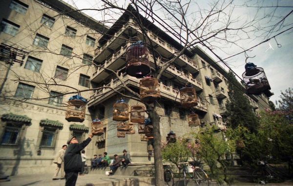 八九十年代北京老照片：北京饭店开起夜市，中关村孕育一批IT精英