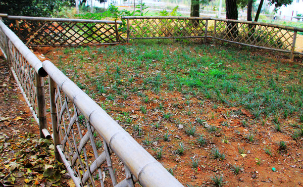 鄱湖之秋,鄱湖之滨信江之畔余干