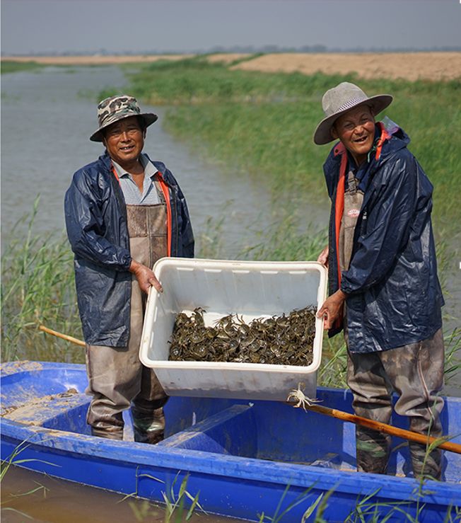 给阳澄湖大闸蟹“贴牌”的神秘小镇，夏天养螃蟹，冬天戴金链买房