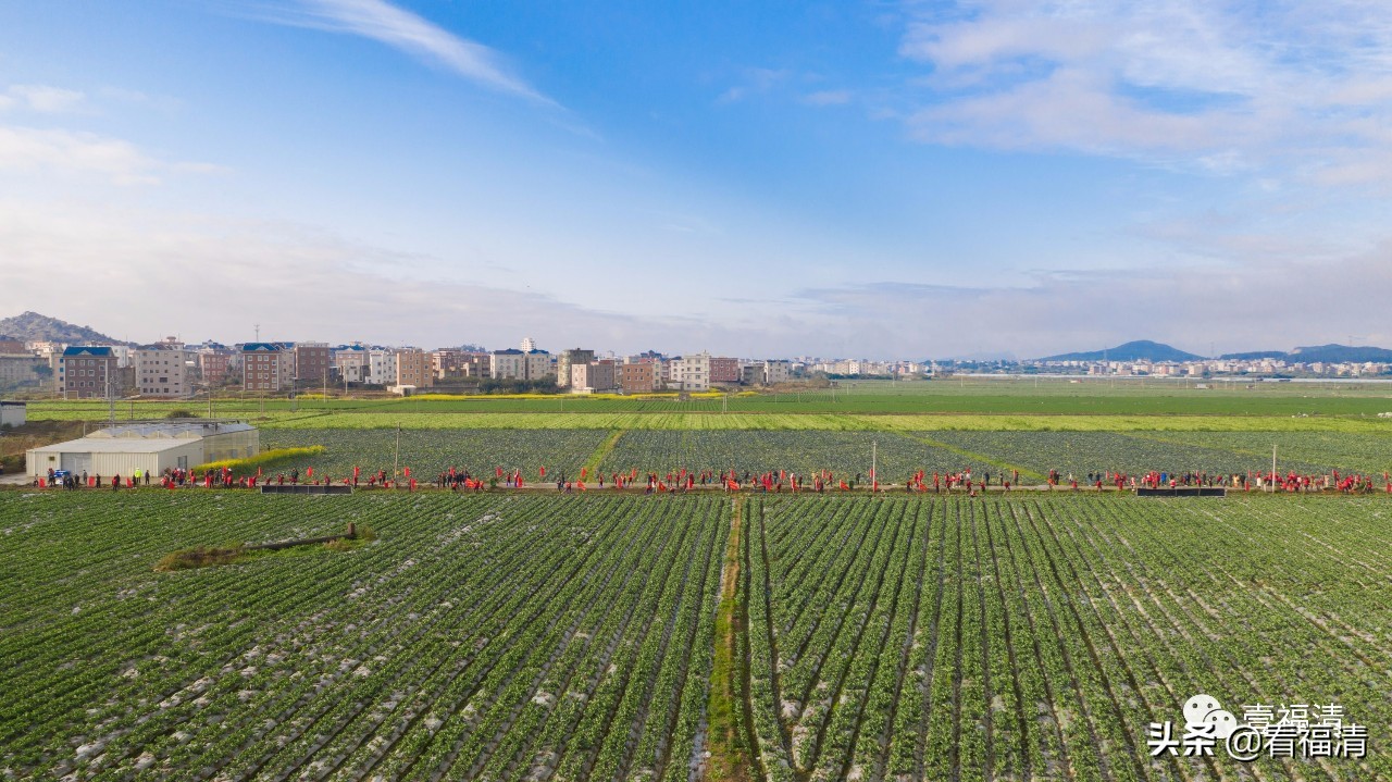 福清市初一成绩表最新,2020福清中考喜报