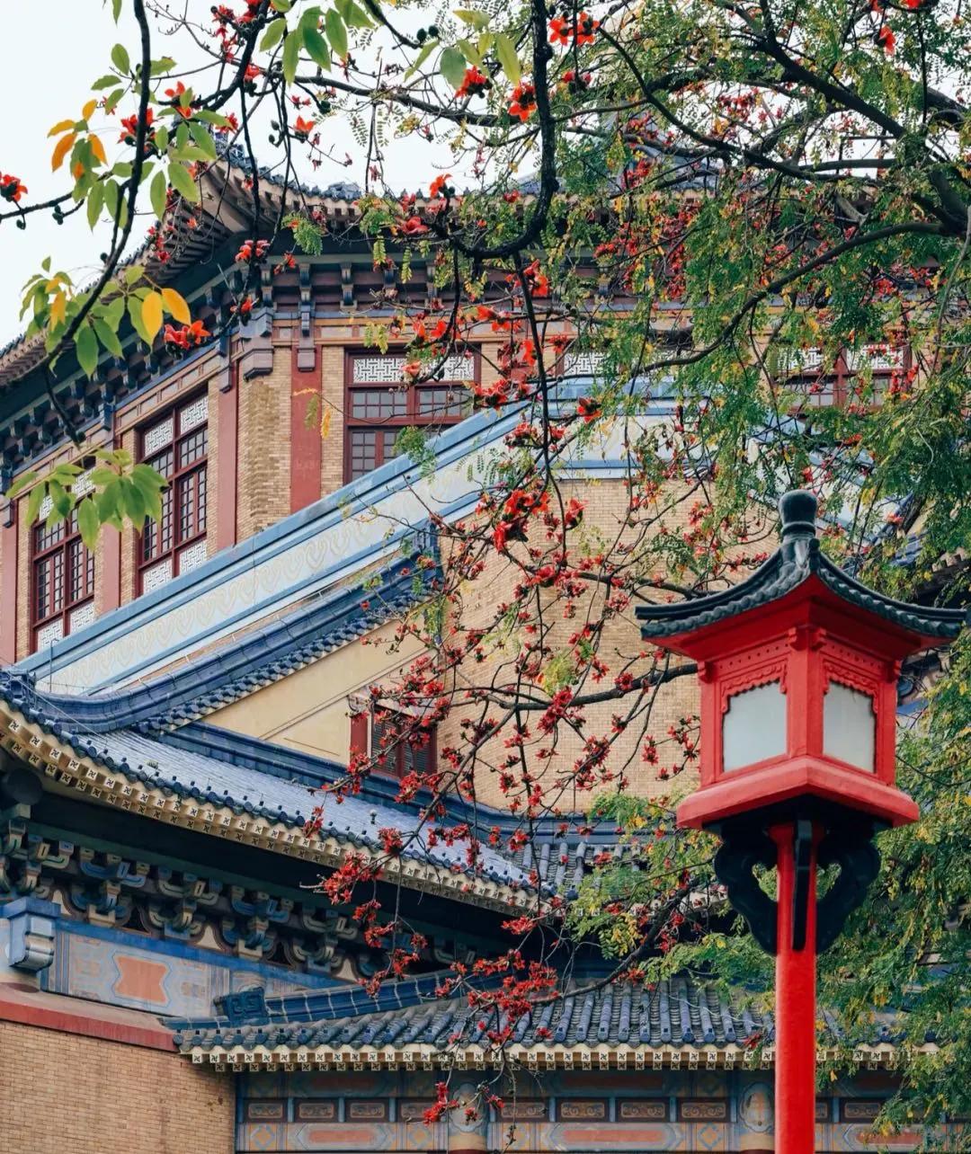 在别的城市上大学真的好吗,去哪个城市上大学最舒服